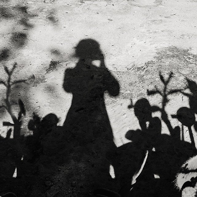 Silhouette of a person taking a photo with plant shadows on the ground